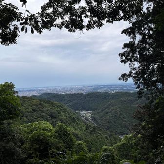 稲荷山から撮影📸