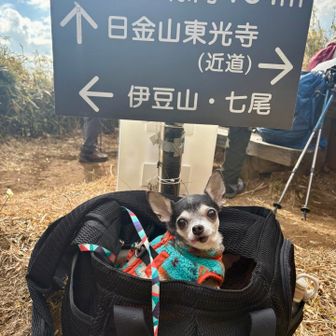 今回の記念撮影📸