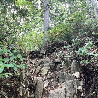 足の置き場を慎重に