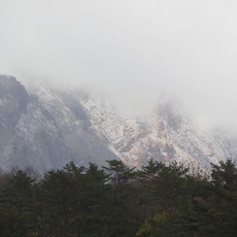 初冠雪でした❄️