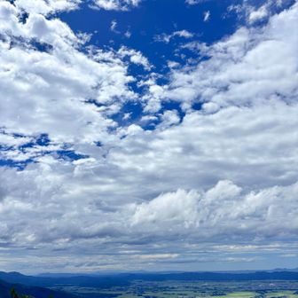 根っこを抜けるとやっと空が♪🤣

新潟ならではの平地や日本海が見れて
とても新鮮で嬉しい✨✨

佐渡ヶ島も見えました