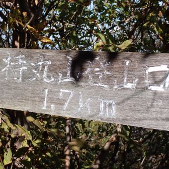 持丸山ピークゲットに向かいます