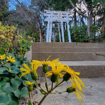 下山、お疲れ山