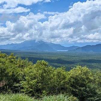 青木ヶ原樹海🌳と、奥には毛無山⛰️　本栖湖もチョビっと。