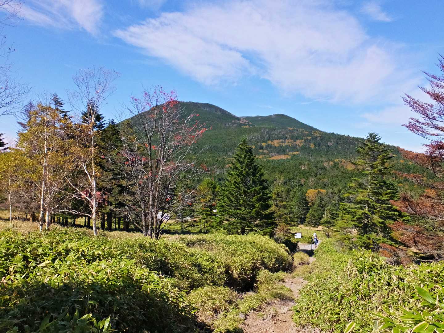 麦草峠に戻って来ました。
正面は茶臼山です。