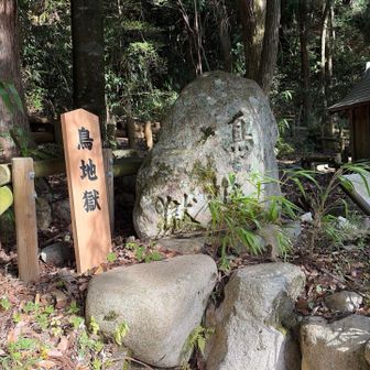 不思議な名前の鳥地獄🐤