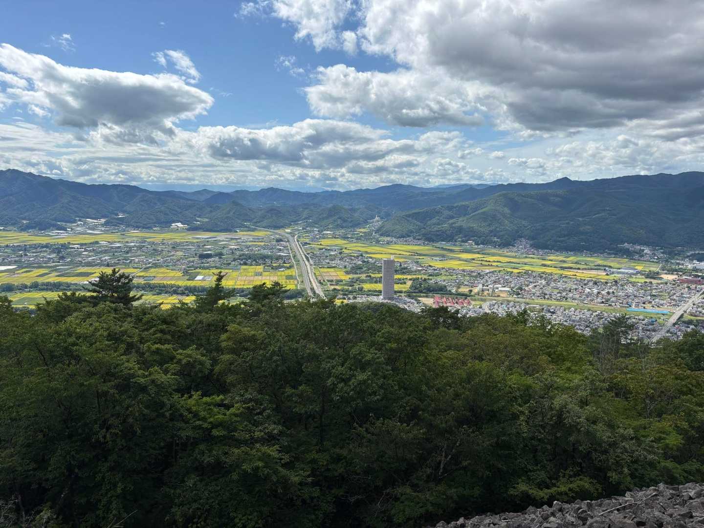 上山のマンションが見える👀