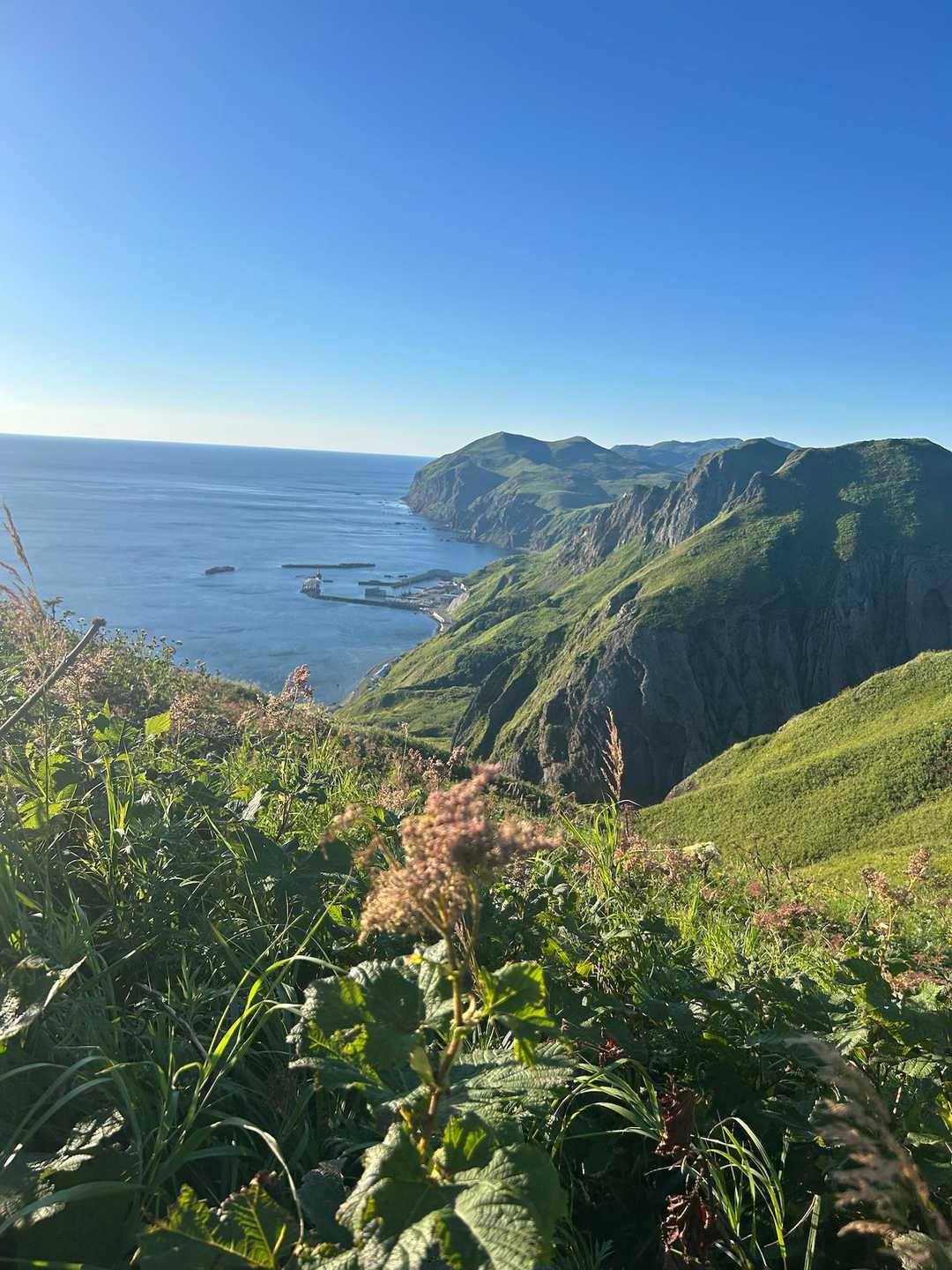 島いいな🏝️