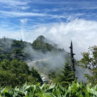 石鎚方面雲で覆われてそう