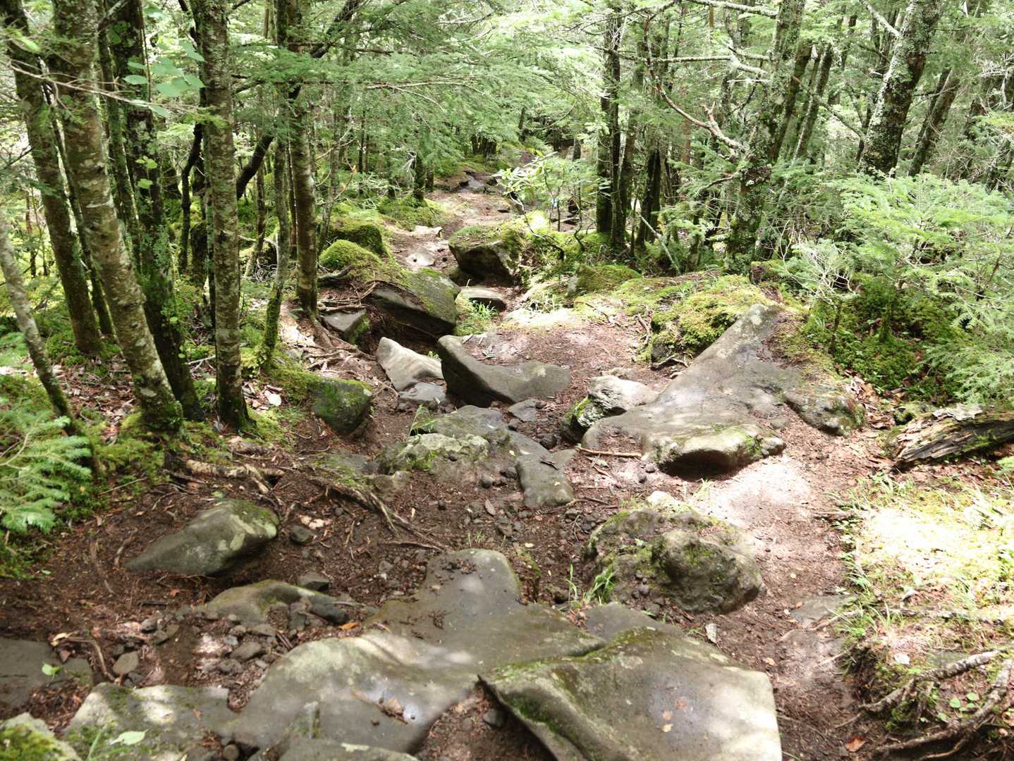 こんな岩場の下りもありましたが、上部はガレてるところが多く、スリッピーです。