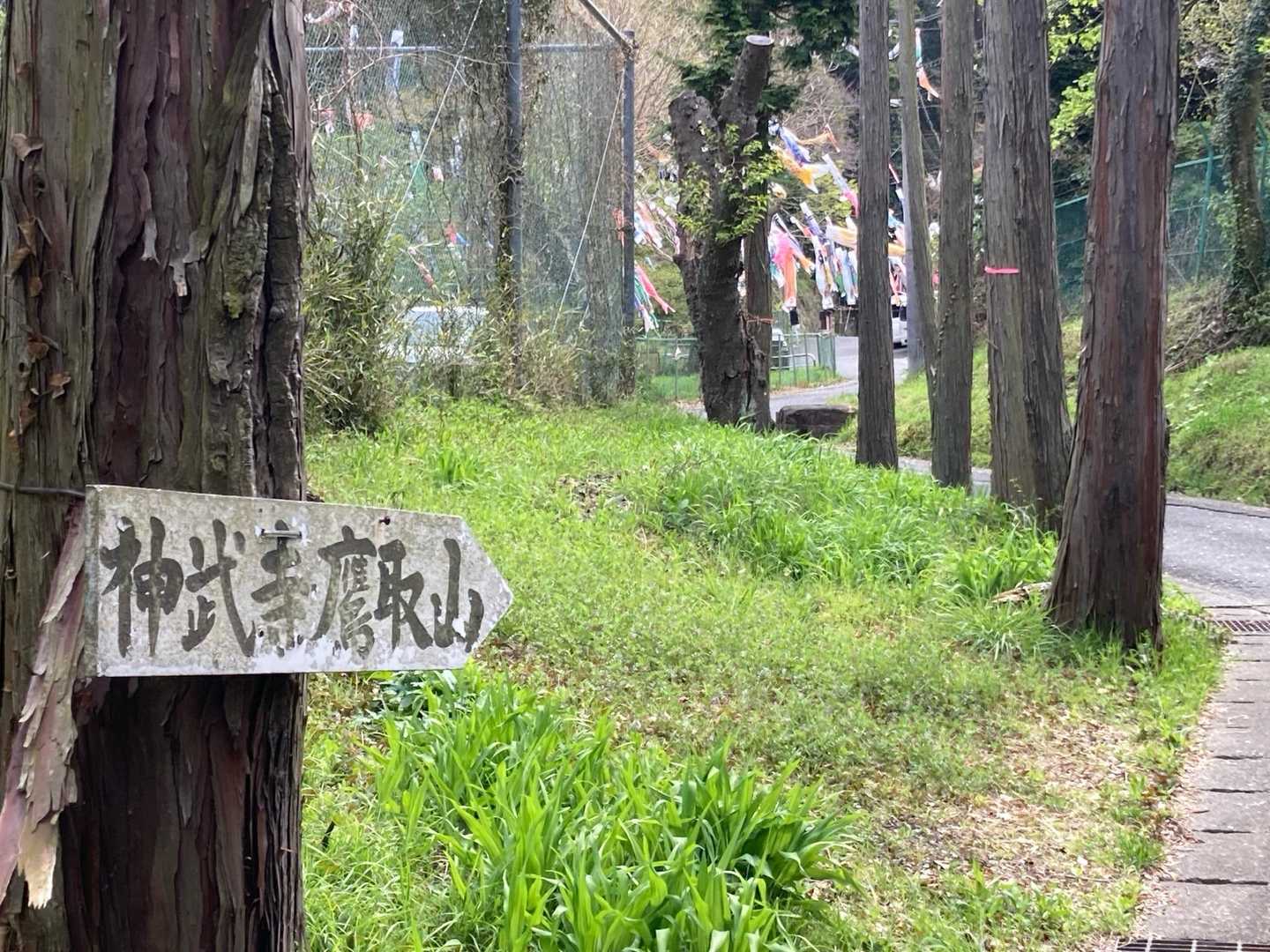 奥にたくさんの鯉のぼり？🎏