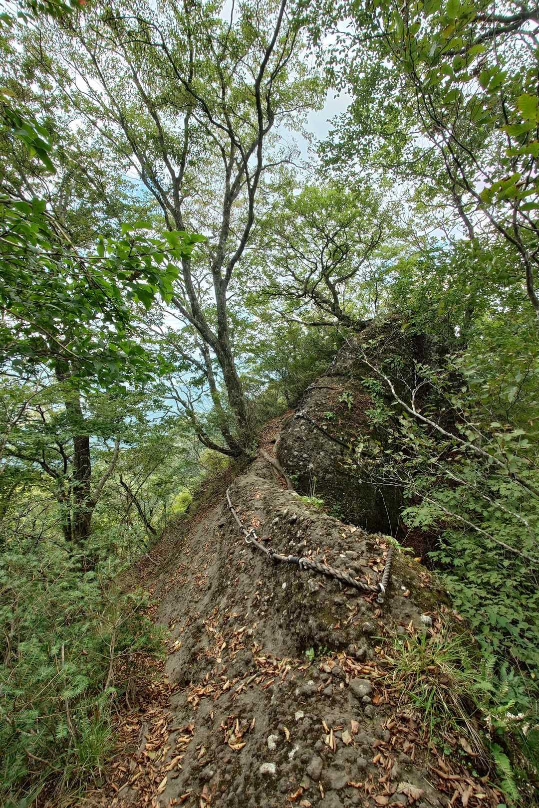 中山登山口-テレビ中継所-青葉山-青葉山 往復コースの写真