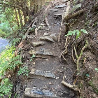 水場の裏から登ります