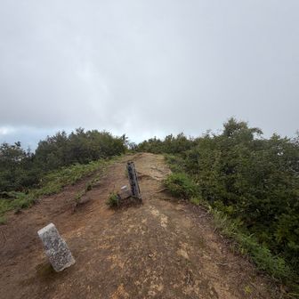 山頂真っ白、飯食って下るわ。