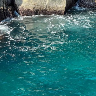 やっぱりキレイ✨