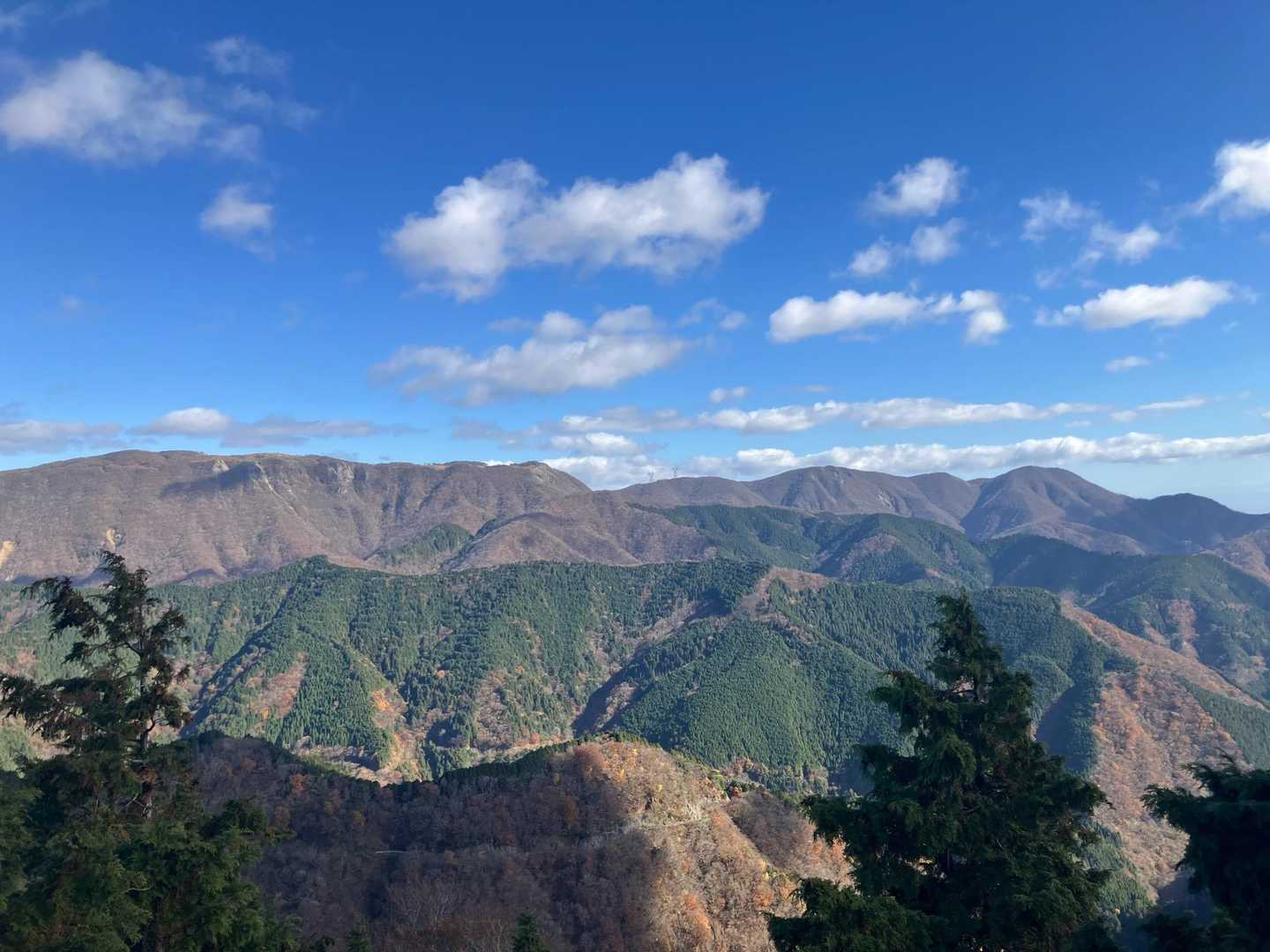 天狗堂-P924-サンヤリ-岩尾谷登山口-君ヶ畑バス停 周回コースの写真