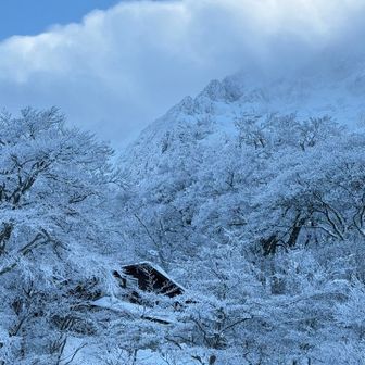元谷避難小屋も雪化粧❄️