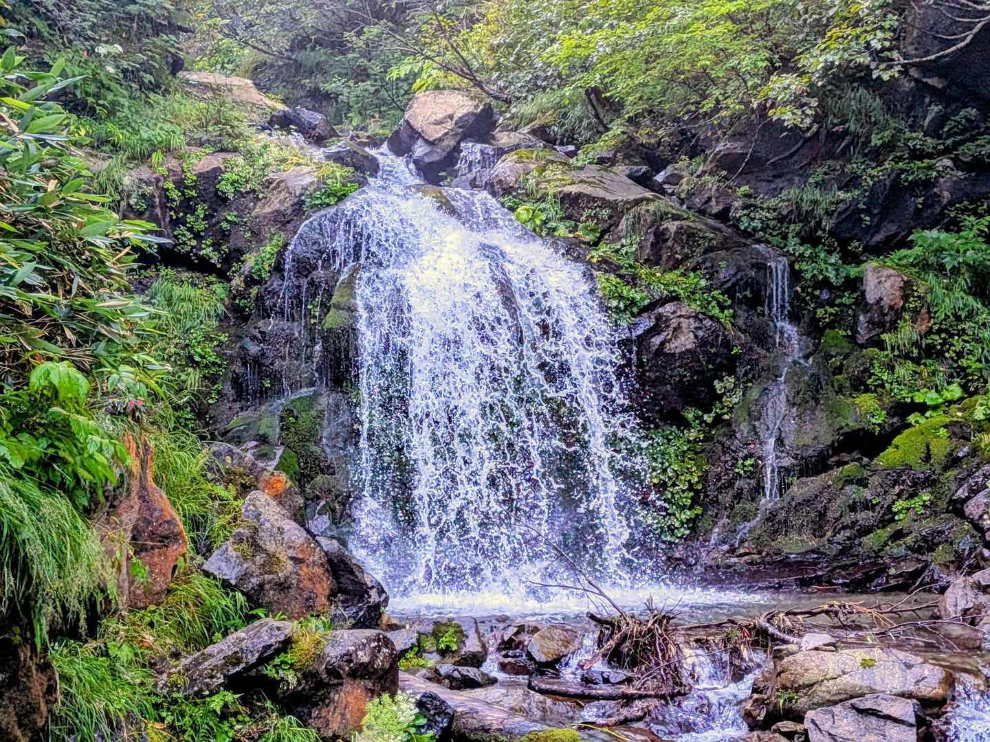 曲り沢登山口-チロロ岳 往復コースの写真