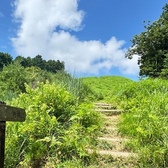 からの登り返し
夏空満開
