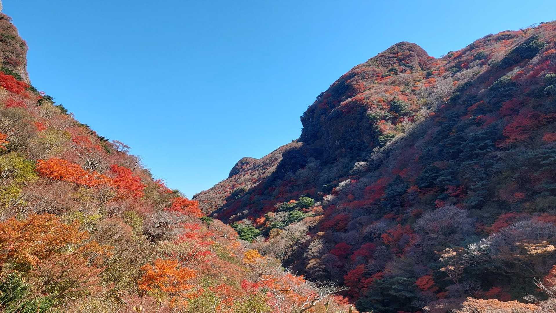 仁田峠駅-立岩の峰-普賢岳 往復コースの写真