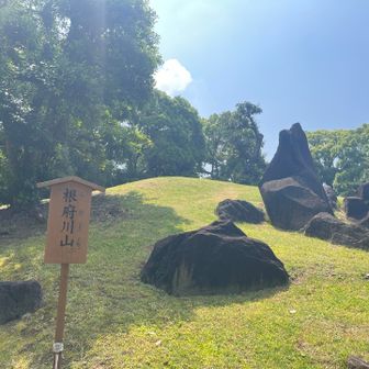 根府川山