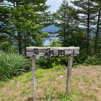よく見かける、変な字体の看板
