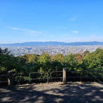 いい展望だ