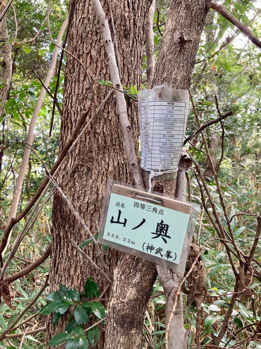 「神武峯」だったプレートが新しくなっていました。基準点名だそうです「山ノ奥259.22m」