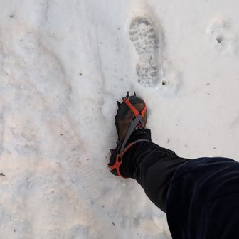 モンベル10本爪軽アイゼンでチャレンジ。
靴はアルパインクルーザー800レザー。
この組み合わせだと、前爪が短く、ソールが柔らかいので、凍結急斜面を爪を刺しながら登るような状況では困難ですが、逆に爪が短めで靴が軽く、足捌きが楽なので、岩や木の根に躓いたりすることも無いです。
今日の大川入山ならチェーンスパイクでちょうど良いぐらいでした。
