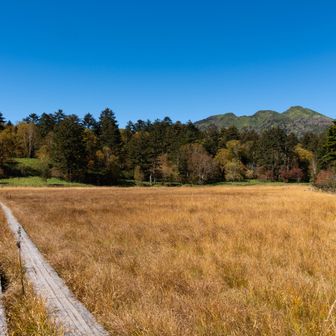 広がる草紅葉と燧ケ岳