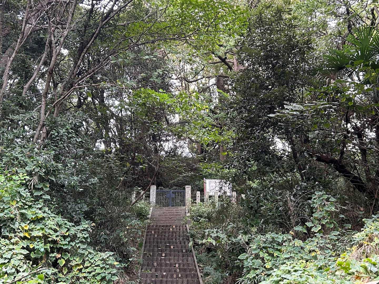 金沢文庫駅-称名寺市民の森入口-金沢山-称名寺-仁王門-称 縦走コースの写真
