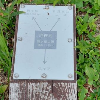 私たちは仏ヶ平からでした
片貝東又コースは かなりの急登でめっちゃ大変だそうです