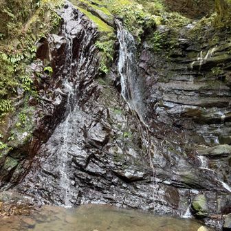 行者の滝

修験道の霊場として知られる神聖な滝で、犬鳴山にある48の滝（七瀑）の一つで、心身を清める禊（みそぎ）の場。女性の修行者も多く訪れる、日本最古の修験根本道場。だそうです。
