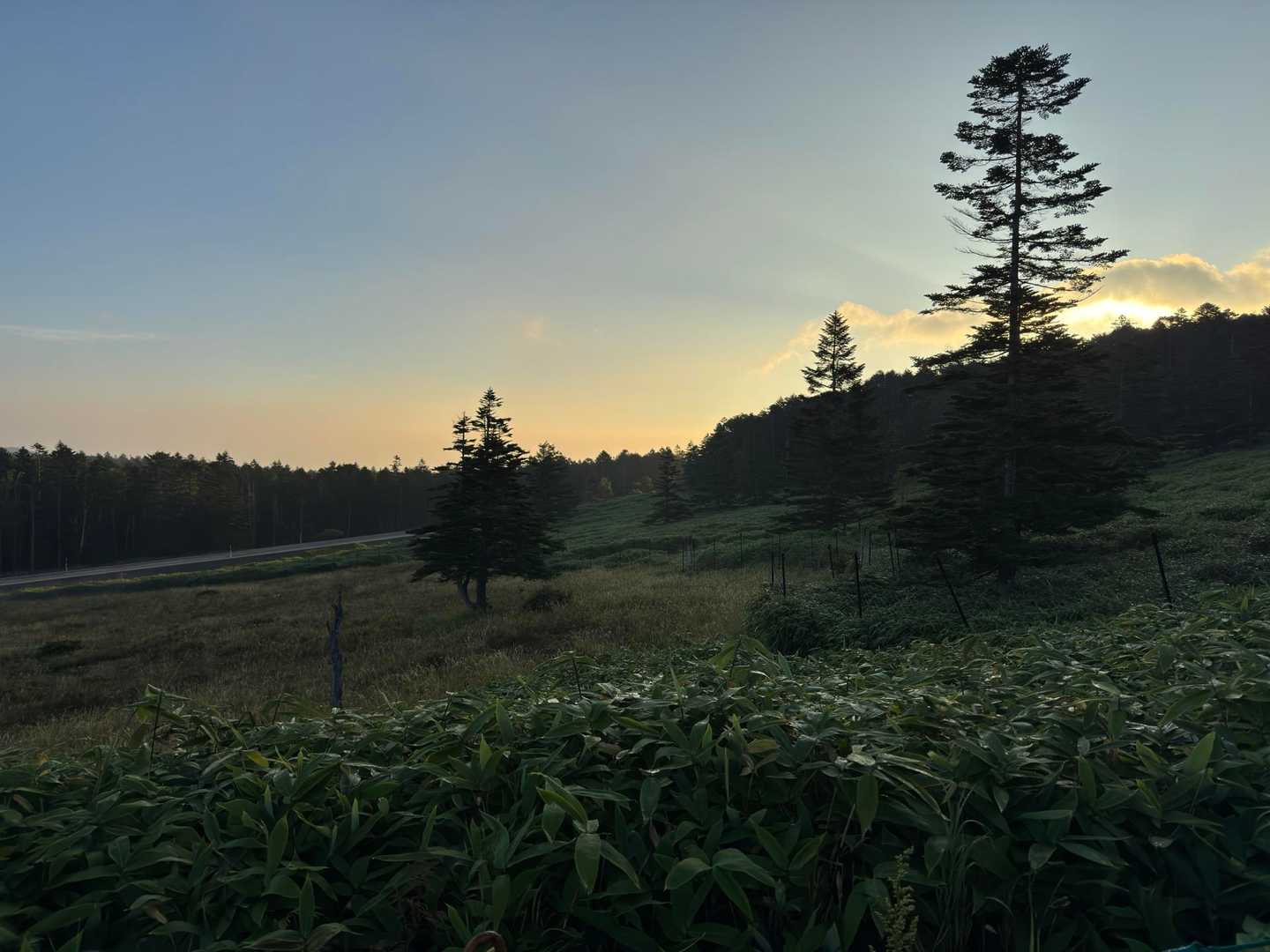 渋の湯バス停-渋ノ湯登山口-麦草峠-大石峠-中小場-縞枯山 縦走コースの写真