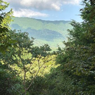 片縄山山頂から油山方面