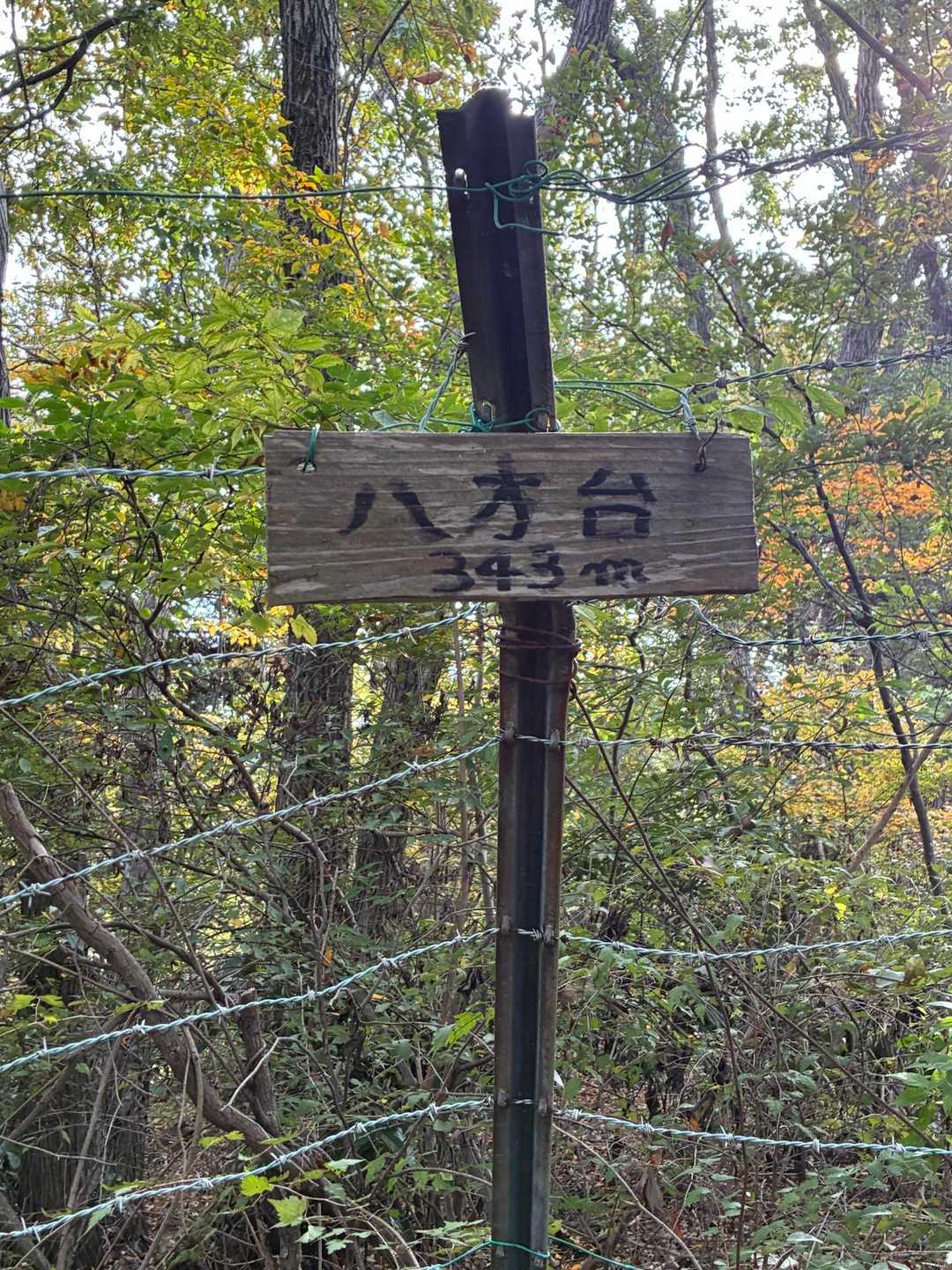高尾山口駅-草戸峠-草戸山-梅の木平バス停 周回コースの写真