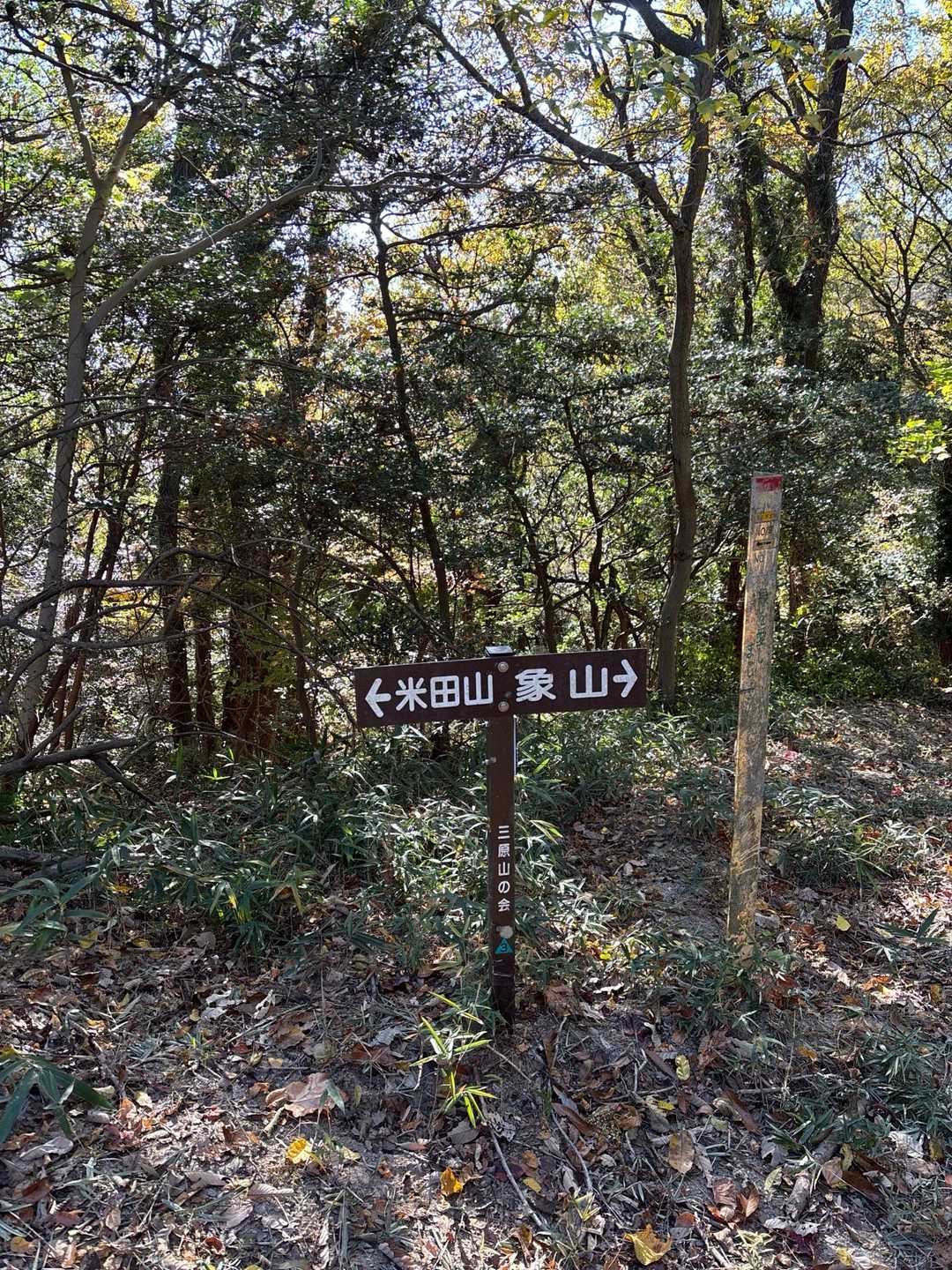 赤石バス停-大師堂-観音寺奥の院-鉢ヶ峰-大平山-米田山- 縦走コースの写真
