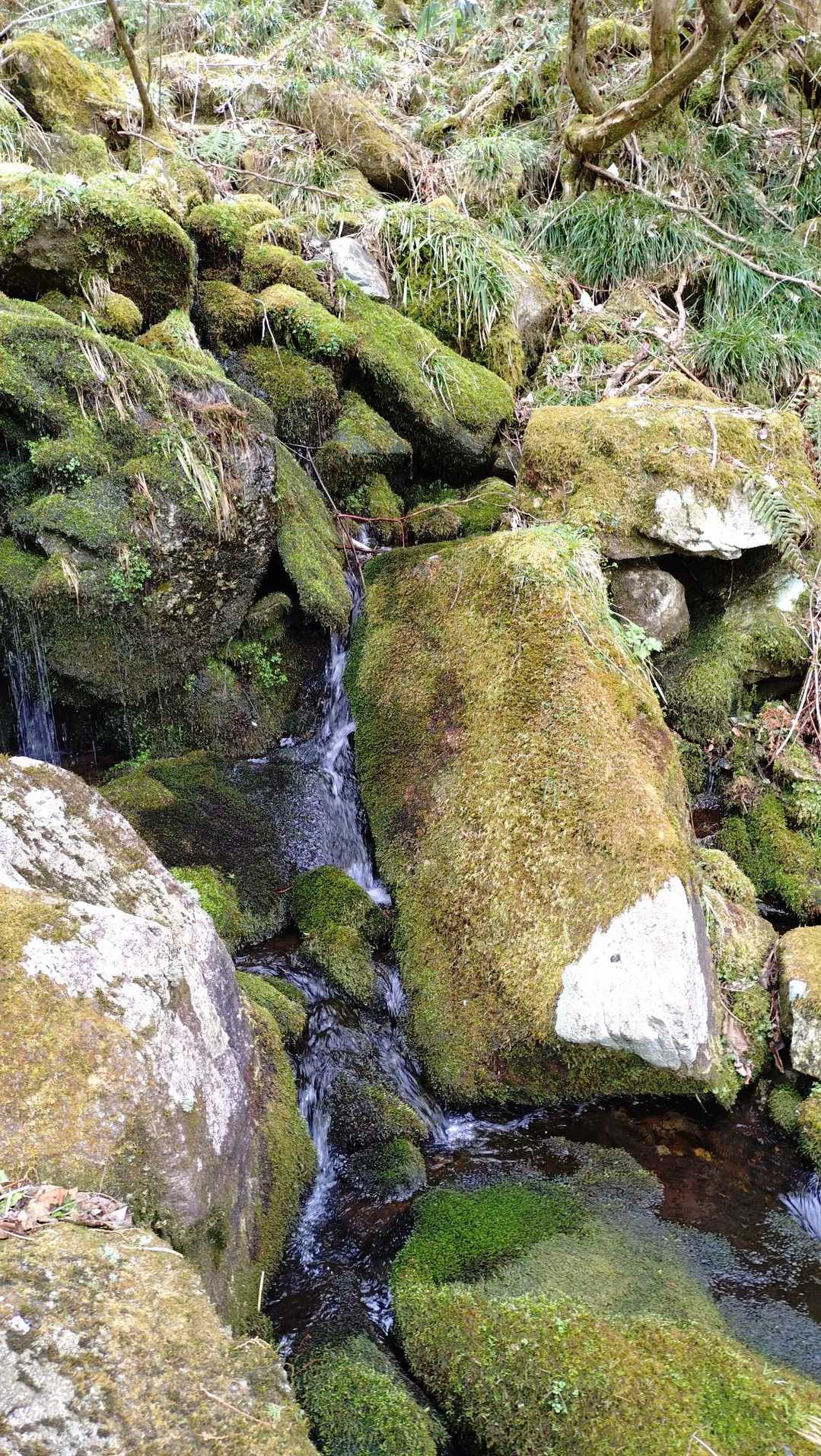 御前山 往復コースの写真