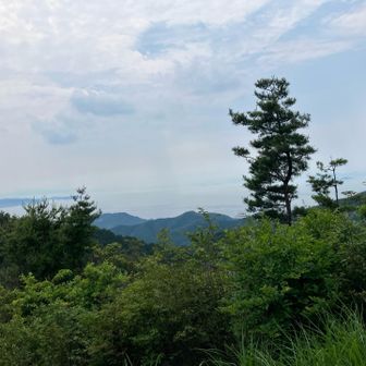 山頂の景色良し