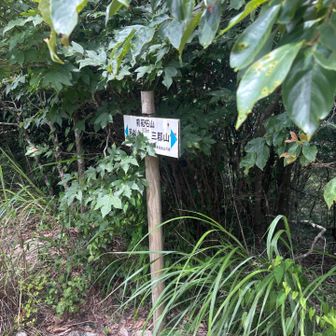 前砥石⛰️後砥石はありません🤭