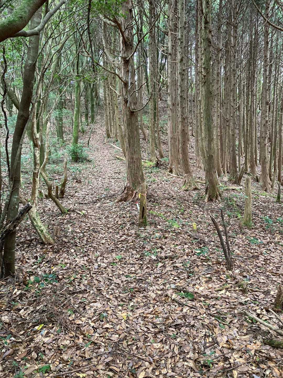 結構イイ風が吹いてくるので暑く無い❗️
