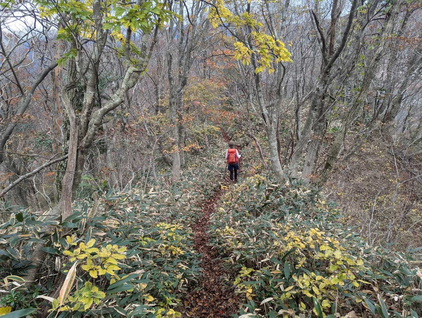 夕暮山までの30分が
結構ツライ😅