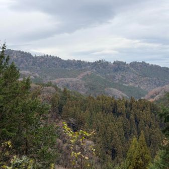 反対の尾根は高尾山。今日のゴール地点🚩