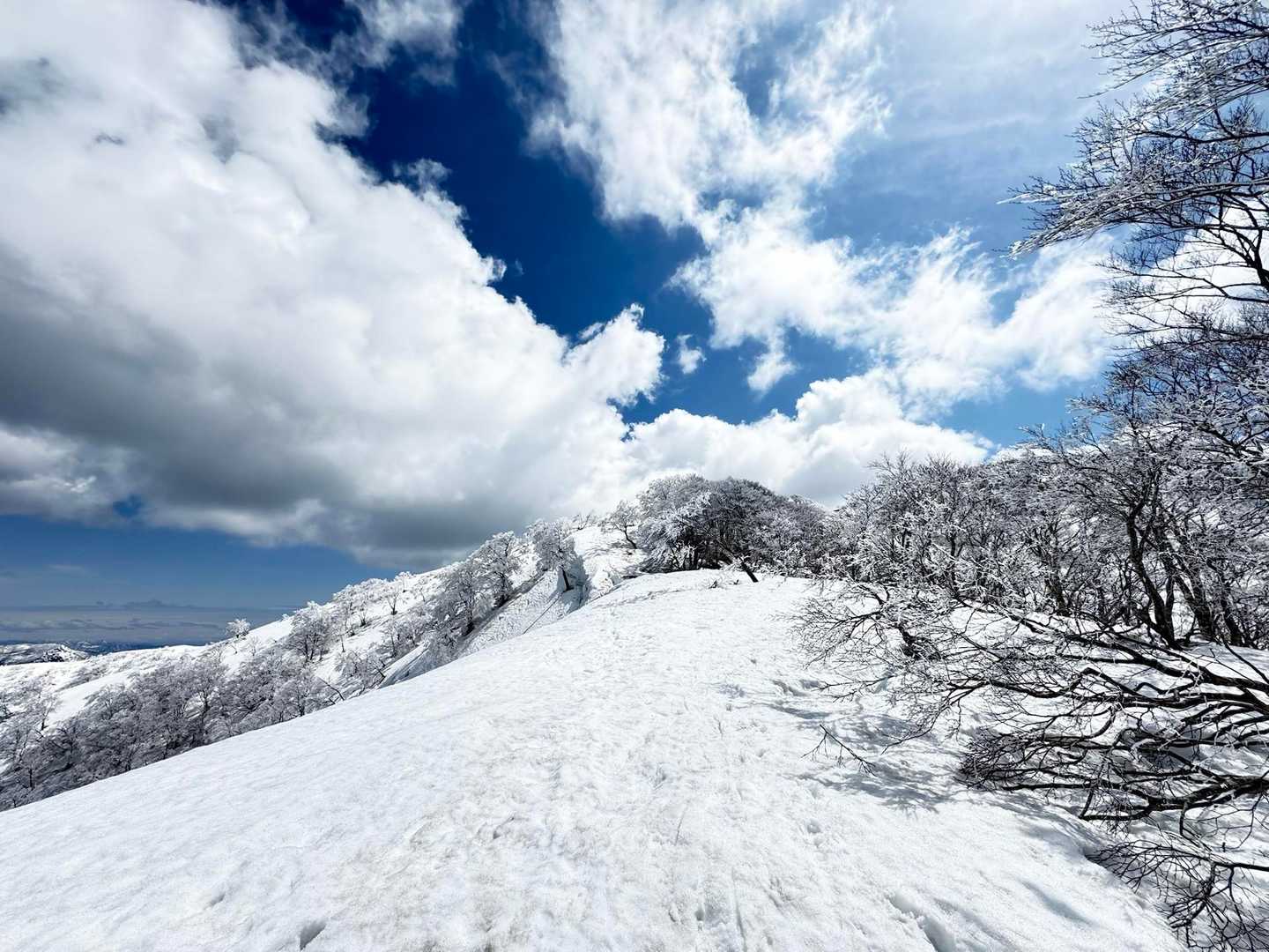 でも青空は綺麗