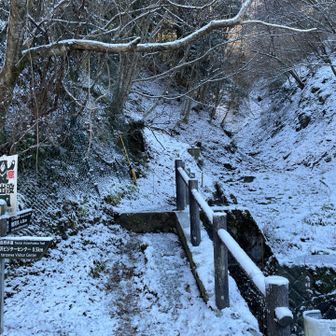 凍った道路を気をつけて歩いて、登山道入り口までやってきました
うっすら雪が積もっています☃️