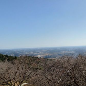 カフェからの展望　この下に滑り台もあります　滑り台で遊ぶ親子を親戚のおじさん気分で眺めていました笑