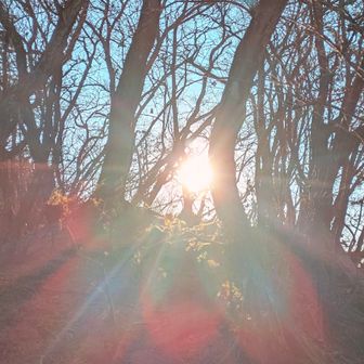 Power Charge🌞
身体中に染み込んでゆく✨️