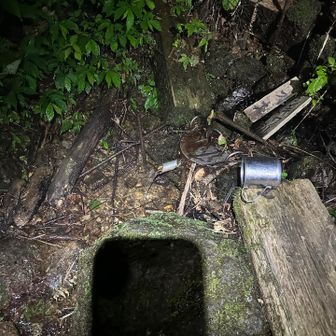水場