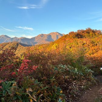 越後駒ヶ岳も見えました⛰️