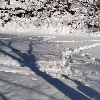 桜坂駐車場にお絵かき🤭